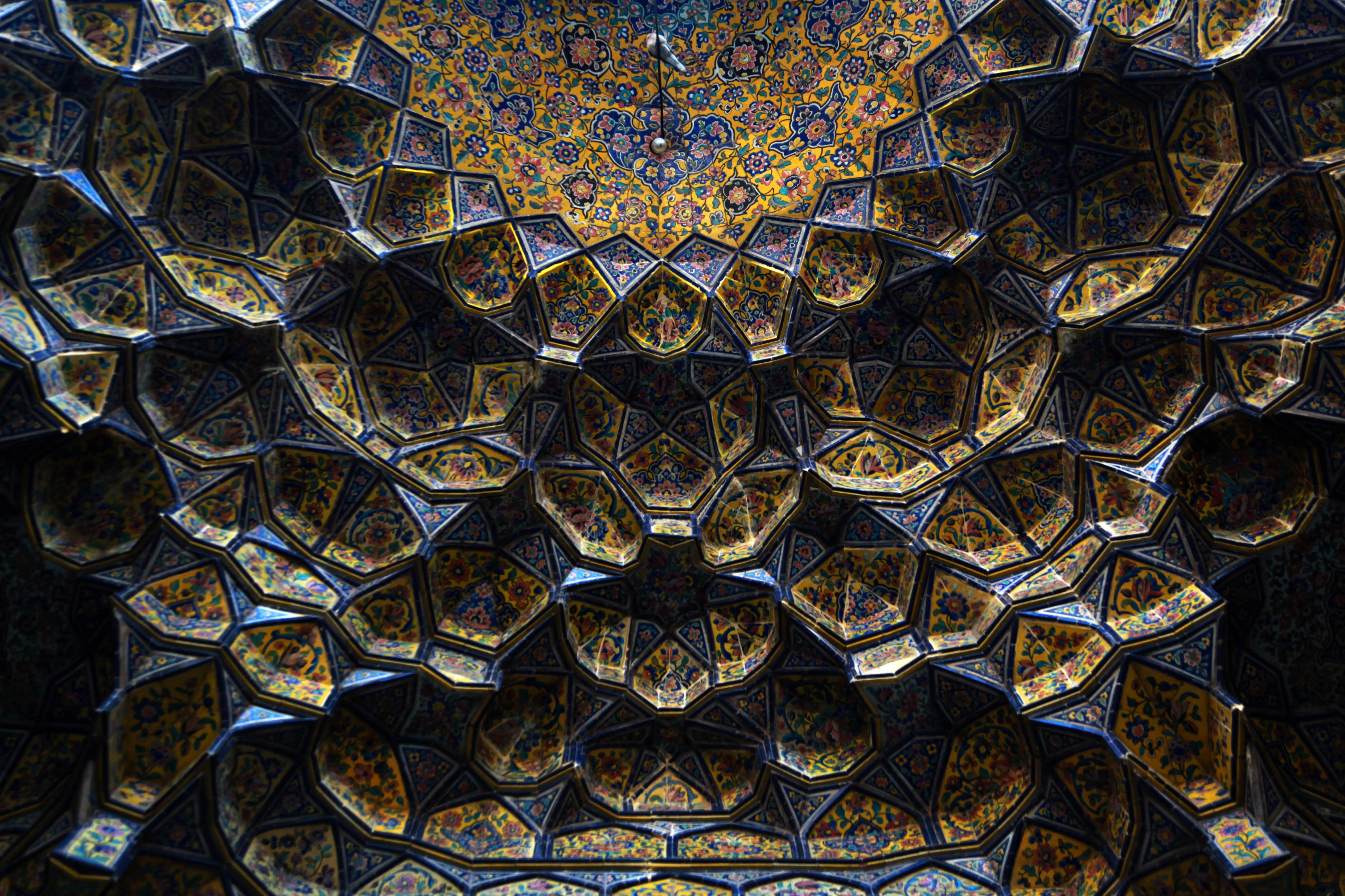 Pigeon in Persian Kaleidoscope